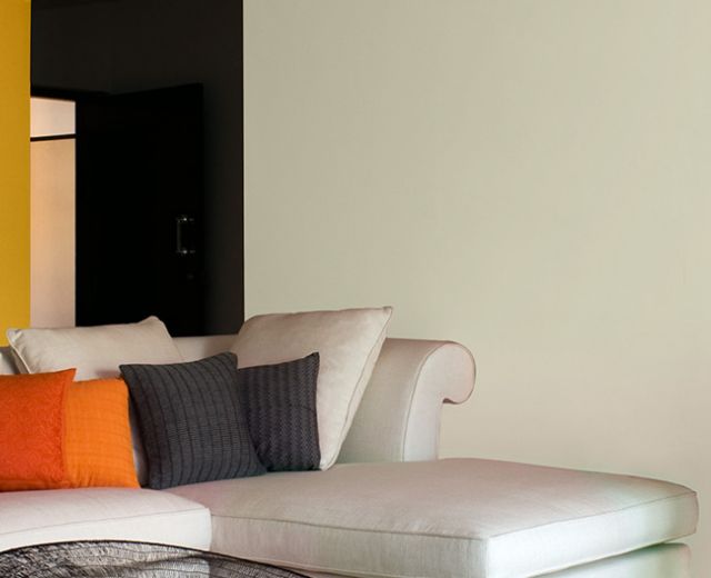 Asian Paints Professional One Coat Premium Interior Emulsion
