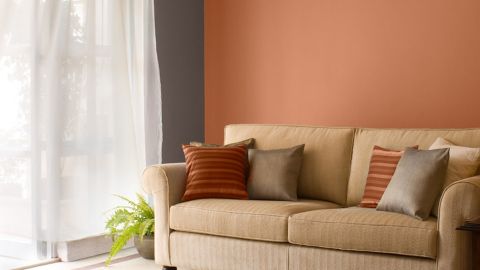 Asian Paints Tractor Emulsion Advanced The Smartest Upgrade From Distempers