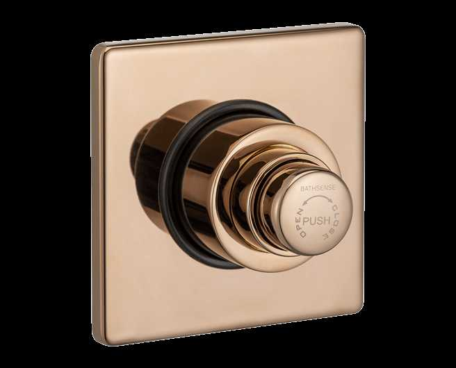 FLUSH VALVE