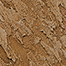 Variant 6