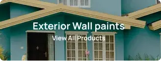 Exterior Wall paints