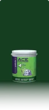 Ace range by Asian Paints