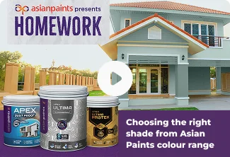 How to make the right choice while choosing Paint Shades?