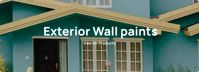 Exterior Wall paints